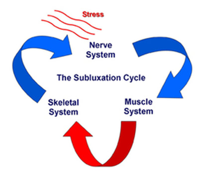 subluxationcycle_7